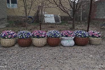 емкость бочки: Плетёные кашпо для цветов - Материал: искусственный ротанг/пластик — 4