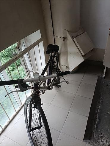 single speed: Городской велосипед, Рама M (156 - 178 см), Б/у — 3