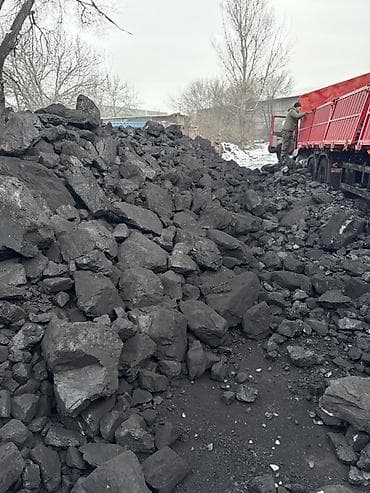 Садовая мебель: Каменный уголь (кусковой), навалом Описание: - Фракция: крупный и — 8