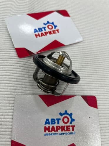 march: Термостат Nissan 2010 г., Новый — 1