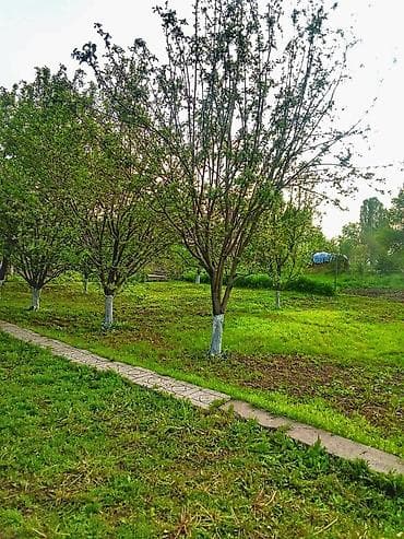 село гроздь дом: Продается дом! Село ленинское, луговое! очень удобное расположение! — 8