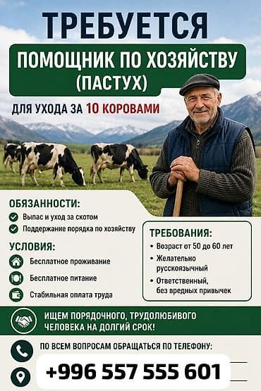 няня на день: Вакансия: помощник по хозяйству (пастух) для ухода за 10 коровами — 1