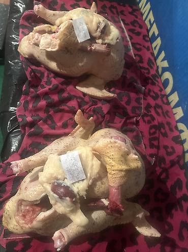 аммофос 50 кг цена бишкек: Индюктар сатылат кг 600 сом 5 кгдан 16 кг га чейин бар — 2