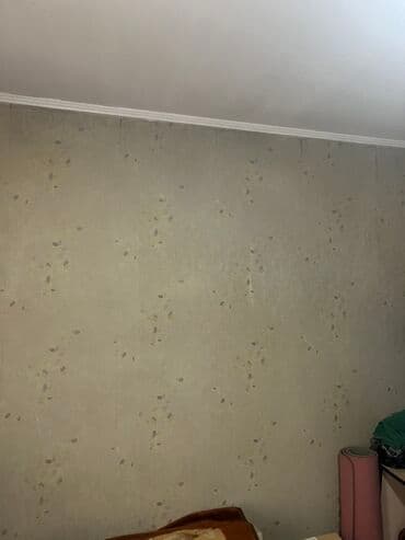 продаю частный дом в бишкеке: Дом, 400 м², 2 комнаты, Собственник, Старый ремонт — 7