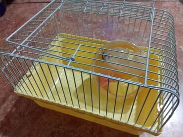 домик для кошки цена: Клетки для свинок, хомяков и т.д Цена от 500 до 1500 — 1