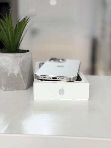 iphone 12 pro max: IPhone 15 Pro Max, White Titanium, Коробка — 4