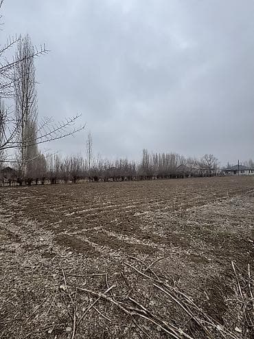 чалдовар продажа домов: 20 соток, Для строительства, Красная книга — 8