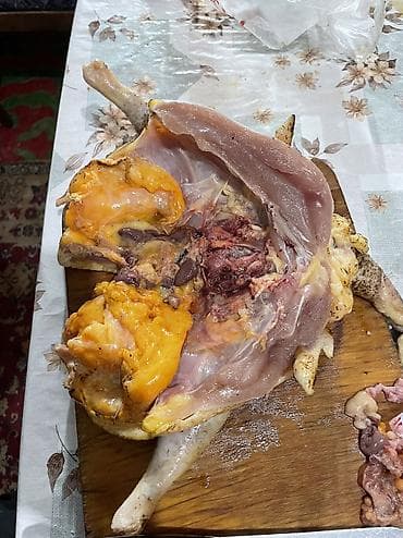 купить кур: Домашние потрошёные куры (тушка целиком)
Опаленная
Халал — 5