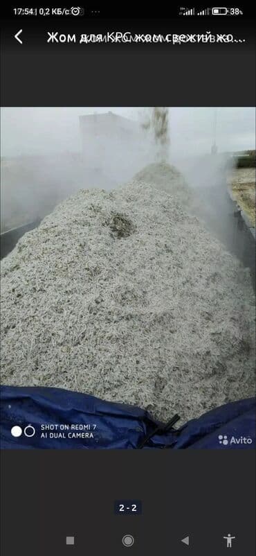 дикоративные кролики: Жом жом жом жом доставка камазом — 1