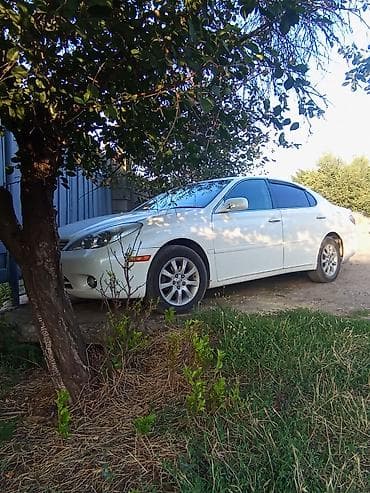два авто: Toyota Windom: 2002 г., 3 л, Автомат, Бензин, Седан — 2