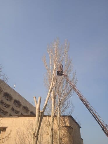 кресло барбер: Профессионально оперативно быстро спил любой сложности. Без выходных — 5