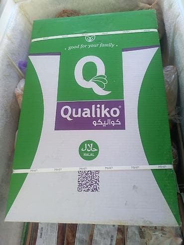 курица халал: Замороженная птица Qualiko (HALAL) Ассортимент: - Куриные окорочка — 3