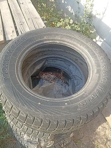 gbt dc: Шины 285 / 60 / R 18, Зима, Комплект, Внедорожные (АТ/МТ), Yokohama — 2