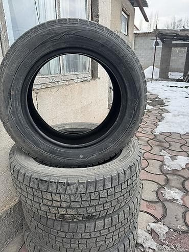 kia 2010: Шины 205 / 60 / R 16, Зима, Комплект, Легковые, Dunlop — 5