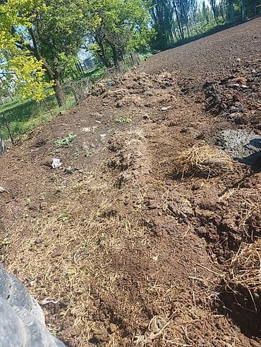 кукуруза местная: Перепревший органический навоз/компост для огорода и сада Описание: - — 2