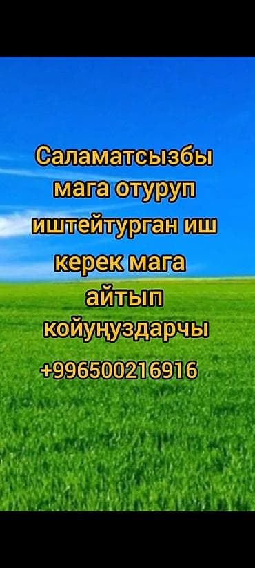 profile design: Ищу удалённую работу (сидячая/домашняя занятость). Рассмотрю варианты — 1
