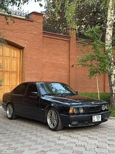 BMW 5 series: 1995 г., 2.5 л, Ручные, Бензин, Седан
