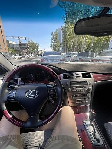 бизнем: Lexus ES: 2004 г., 3.3 л, Автомат, Газ, Седан — 9