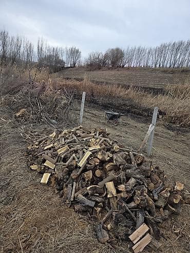 Садовая мебель: Дрова Платная доставка — 2