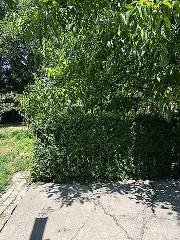 дом манас дача суу: Продаётся жилой дом с участком 6.5 соток город Кант центр есть газ — 3