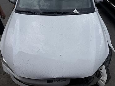 Капот BYD, Оригинал