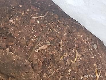 чиринди: НАВОЗ НАВОЗ НАВОЗ. В МЕШКАХ . БАРАНИЙ. ОТДАМ БЕСПЛАТНО — 1