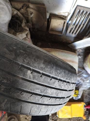 алтай шина: Шиналар 195 / 65 / R 15, Жай, Жуп, Жеңил унаалар, Maxxis — 2