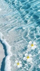 Администраторлор: Ищу работу на горничную с проживанием на 1 год. Желательно — 2