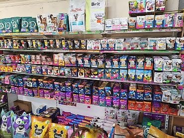 Зоотовары: Зоотовары для собак и кошек — большой выбор в одном месте Оформляем — 9