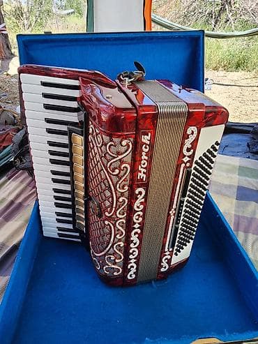 Музыкальные инструменты: Аккордеон Hohner (Horch), клавишный, европейского производства — 2