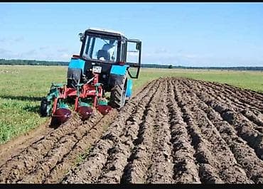 4 соток Для сельского хозяйства at lalafo.kg 4 соток Для сельского хозяйства