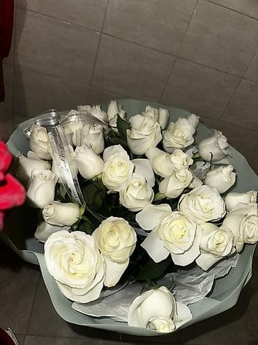 черные розы: Букет Роза Цветы 80 см большой Букет из белых роз - Классические — 1