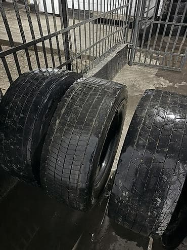 асфальт рез: Шины 315 / 60 / R 22,5, Всесезонная, Б/у, Комплект, Грузовики/Автобусы, Германия, Continental — 2