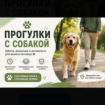 чем отравить собак: ПРОГУЛКИ С СОБАКОЙ Забота, внимание и активность для вашего питомца — 1