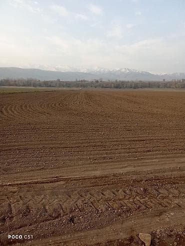 дачный участок кант: 3075 соток, Красная книга, Тех паспорт — 4