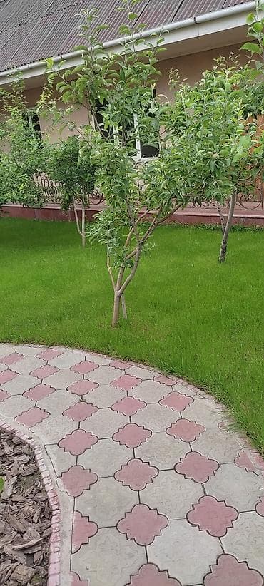 Сугаруу системалары: Газон # Автополив # Полив # Ландшафтный дизайн озеленение территории — 5