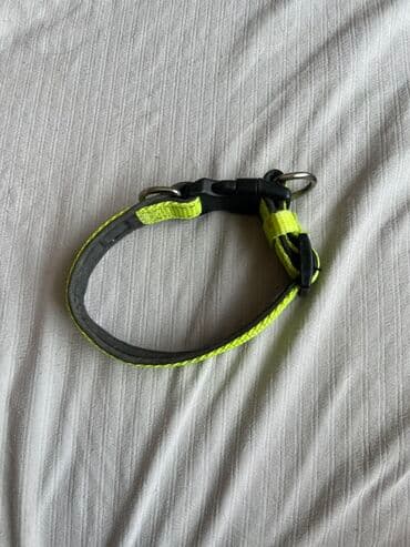 купить ошейник для щенка: Ошейник для собак, выполненный из прочного материала, обеспечивает — 1