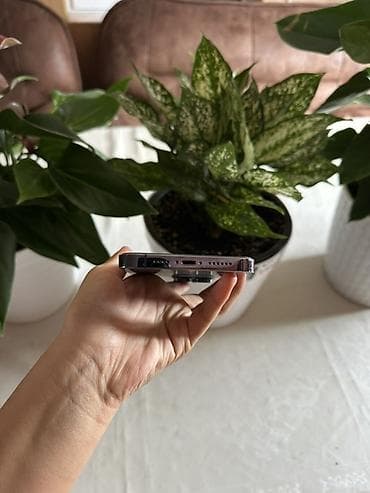 ремонт пылесоса дрими: IPhone 14 Pro, цвет Deep Purple Характеристики: - Экран 6.1" Super — 6