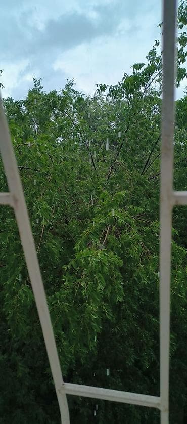 4 комнат: 45 м², С мебелью — 10