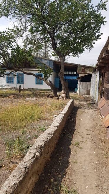 дом на иссык куле: Дом, 73 м², 4 комнаты, Собственник, Старый ремонт — 8