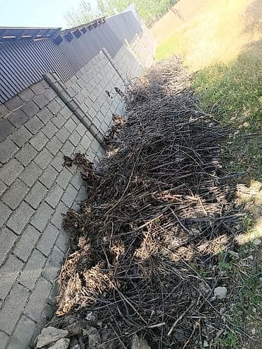 за даром: Отун дравы продаю цена договорная — 2
