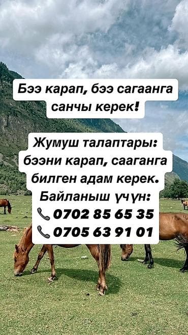 отель чолпон ата: Требуется человек, умеющий ухаживать за кобылами и доить их — 1