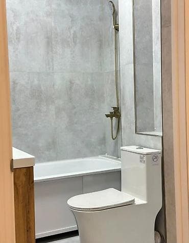 1: 1 комната, 45 м², Пишпек Элитка, 8 этаж, Евроремонт — 6