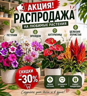 фуксия: РАСПРОДАЖА ЛЮБИМЫХ РАСТЕНИЙ — скидки до -30% В наличии: - Петунии в — 1