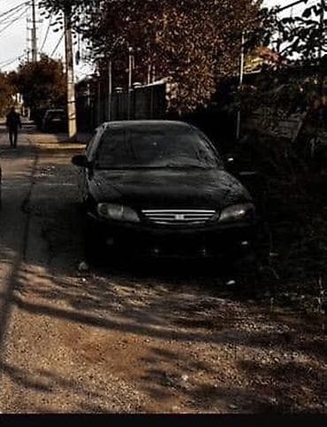 кия рий: Kia Spectra: 2008 г. — 1