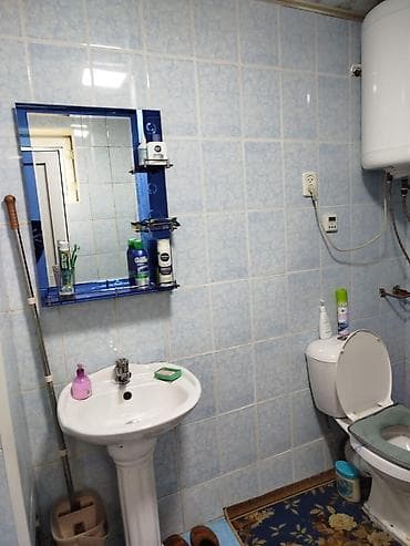 санузла: Дом с двором и благоустроенными постройками. - Уютный санузел — 3