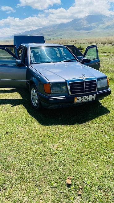 вельтмейстер электромобиль: Mercedes-Benz W124: 1990 г., Седан — 6
