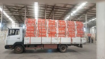 Бала бакчалар, бала багуучулар: Буйрутма берүү Мерседес Гигант, Эмерек ташуу, Жүк ташуучу жумушчусу менен — 2