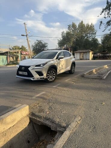 nx: Lexus NX: 2021 г., Автомат, Кроссовер — 5