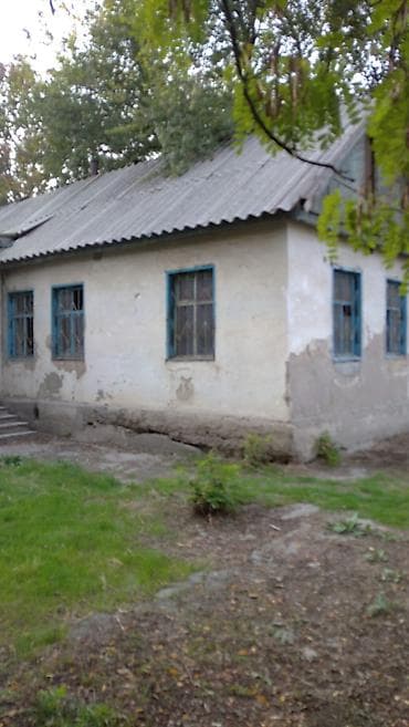 Кыймылсыз мүлк: 13 соток, Кызыл китеп — 4